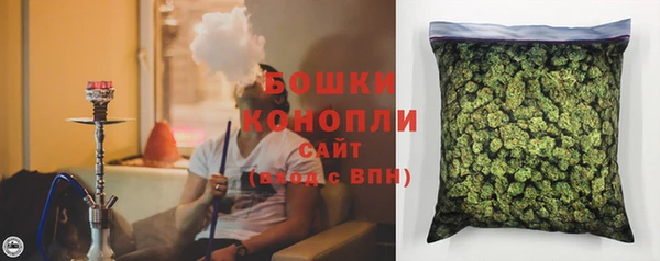 ПСИЛОЦИБИНОВЫЕ ГРИБЫ Надым