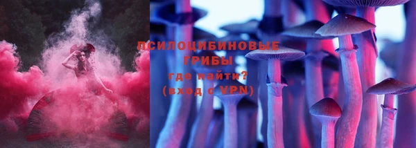 ПСИЛОЦИБИНОВЫЕ ГРИБЫ Надым