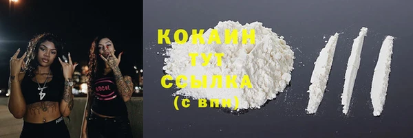 ПСИЛОЦИБИНОВЫЕ ГРИБЫ Надым